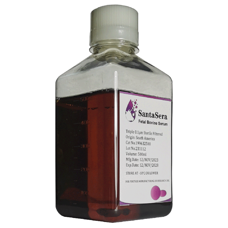 Fetal Bovine Serum(Defined)